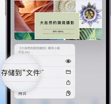 南木林apple维修中心分享iPhone文件应用中存储和找到下载文件