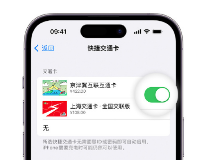 南木林apple维修点分享iPhone上更换Apple Pay快捷交通卡手绘卡面 