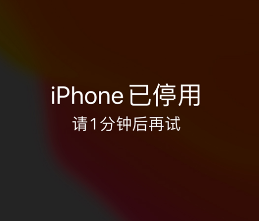 南木林苹果手机维修分享:iPhone 显示“不可用”或“已停用”怎么办？还能保留数据吗？ 