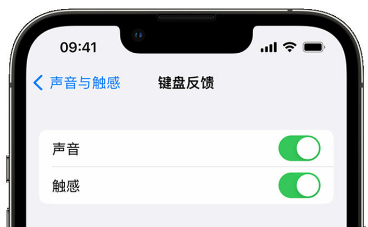 南木林苹果手机维修分享iPhone 14触感键盘使用方法 