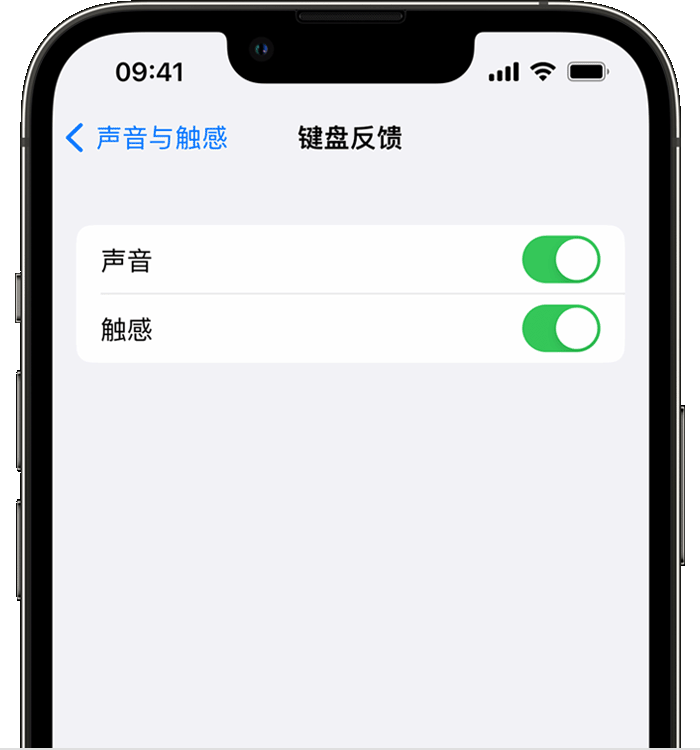 南木林苹果14维修店分享如何在 iPhone 14 机型中使用触感键盘 