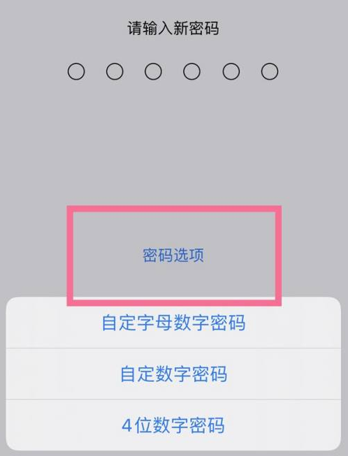 南木林苹果14维修分享iPhone 14plus设置密码的方法 