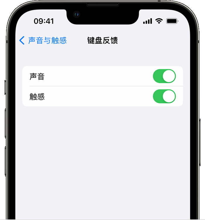 南木林苹果14维修分享iPhone 14 系列机型如何开启键盘声音或触感反馈 