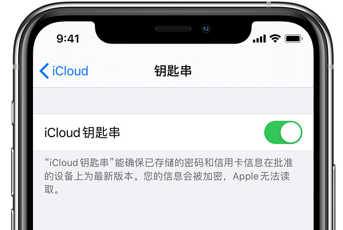 南木林苹果手机维修分享在 iPhone 上开启 iCloud 钥匙串之后会储存哪些信息 