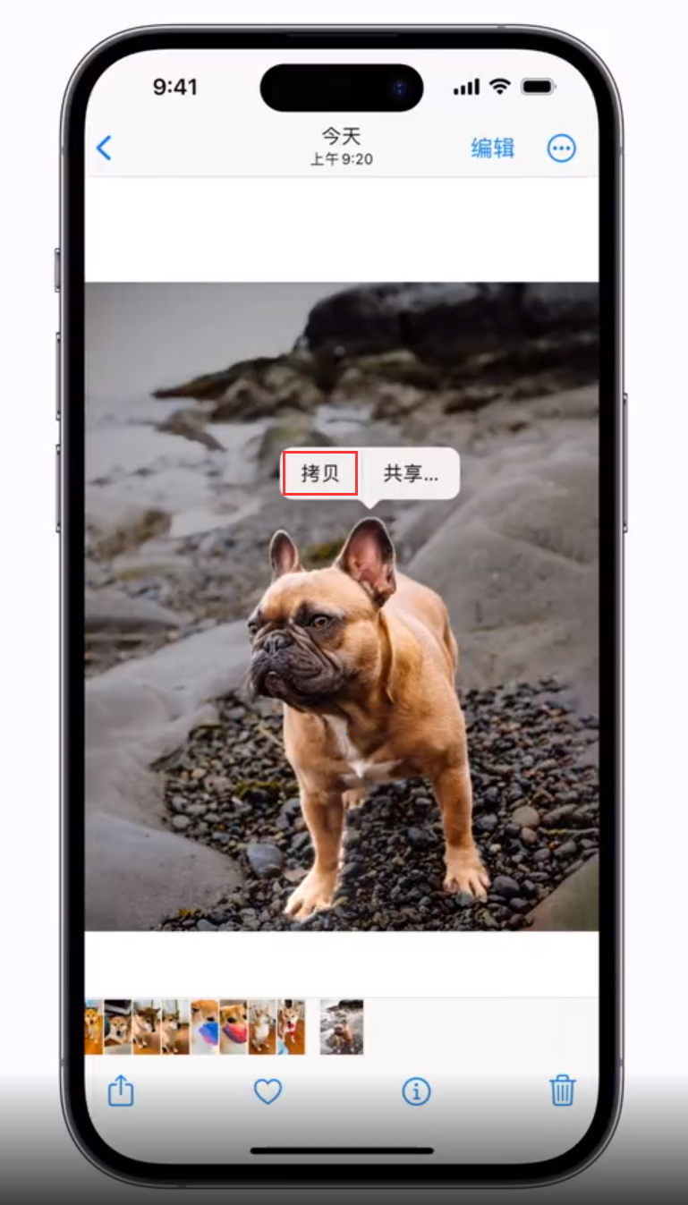 南木林苹果手机维修分享 iOS 16 自带一键抠图功能 