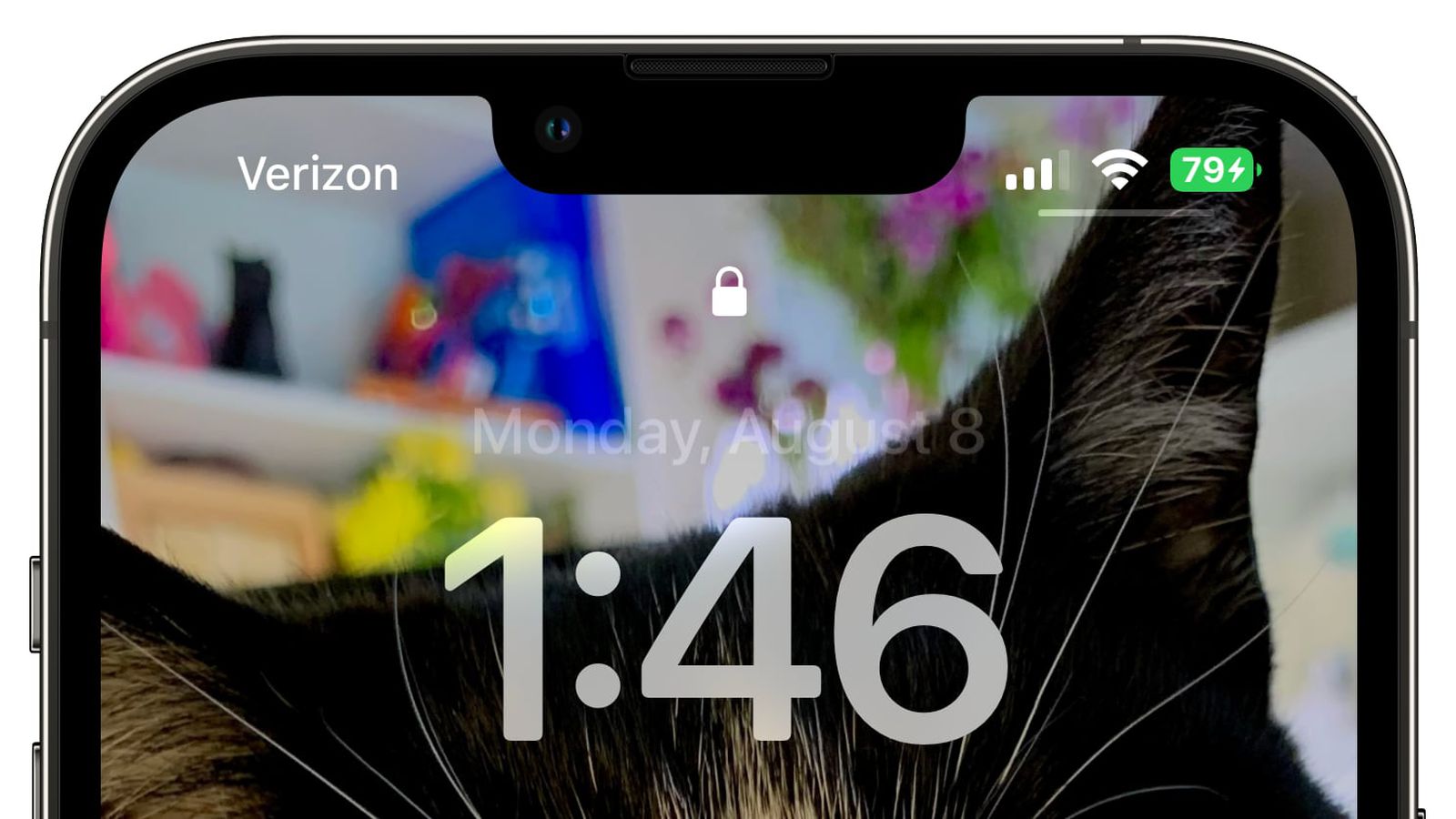 南木林苹果手机维修分享iOS 16 beta 5 支持状态栏显示电池百分比，如何开启？支持哪些机型 