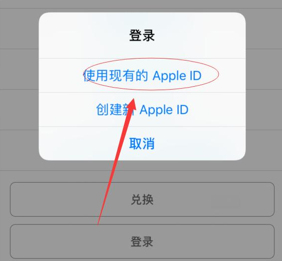 南木林苹果手机维修分享两台iPhone设备可以同时登录一个Apple ID吗 