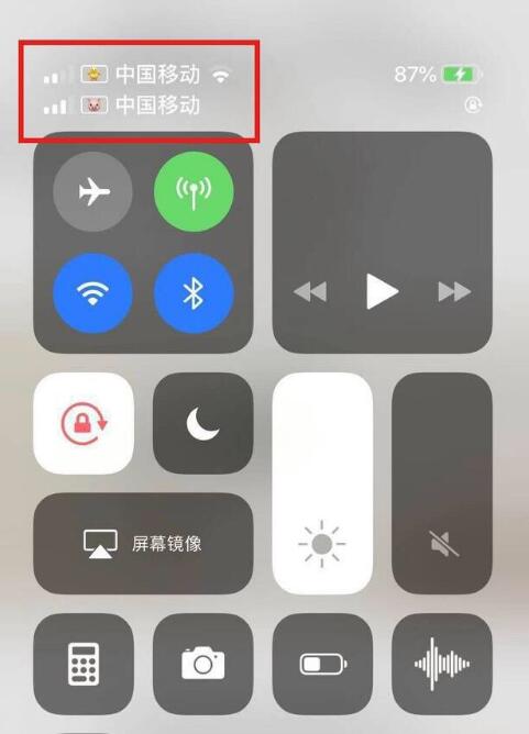 南木林苹果手机维修分享为 iPhone 12 双卡设置标签 